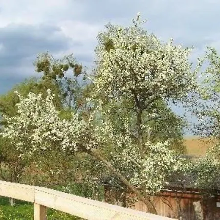 Holiday home Fuer 3 Personen Ca 70 M In Gerswalde, Brandenburg Uckermark *